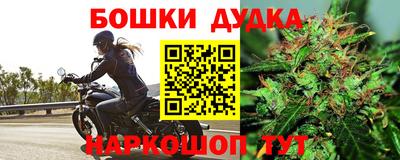 прущий лед Будённовск