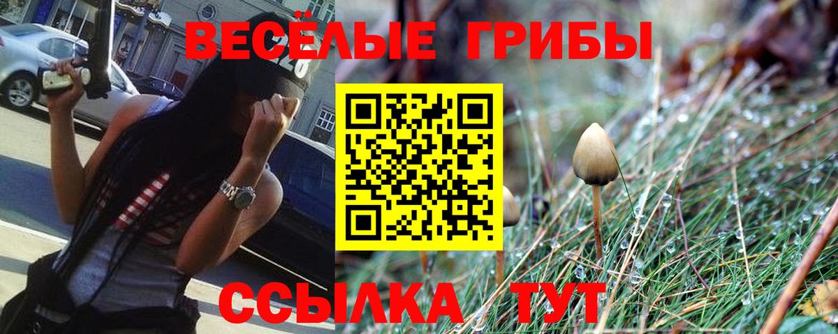 Галлюциногенные грибы Cubensis  Вход с VPN  Среднеуральск 