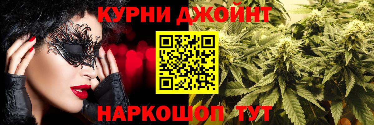 Канабис сатива Среднеуральск